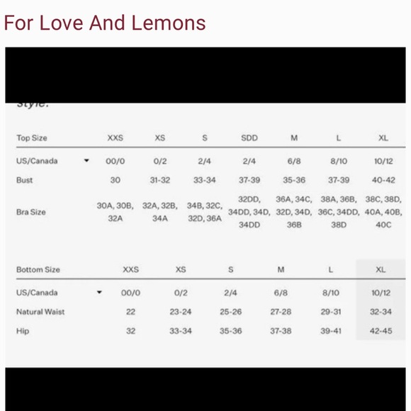 For Love & Lemons Sophie Eyelet Bustier Top - Picture 9 of 9